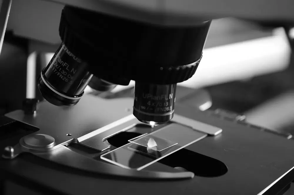 AIMuno and the Roche innovation incubator start working together
